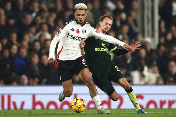 展现自己的 展现自己的